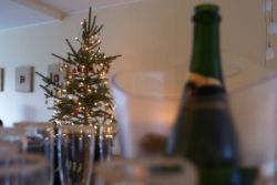 Sex und Alkohol auf der Weihnachtsfeier