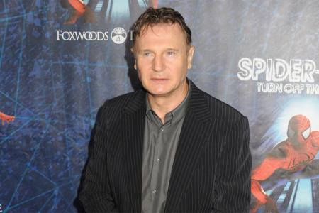 Liam Neeson wollte kein Action-Star werden